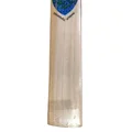SG Strokewell Xtreme Kashmir Willow Cricket Bat (Standard Size Short Handle)