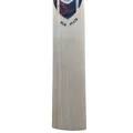 SG KLR Plus Kashmir Willow Cricket Bat (Standard Size Short Handle)