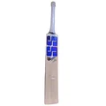 SS Sky 360 Classic English Willow Cricket Bat (Standard Size Short Handle)