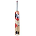 DSC Krunch 99 Kashmir Willow Cricket Bat (Standard Size Short Handle)