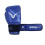 Invincible Extreme Competition Boxing Gloves Approved by IABF