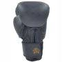 Invincible Special Edition Muay Thai Pro Boxing Gloves