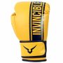 Invincible Tejas Fitness Training Synthetic Leather Boxing Gloves