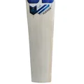 SS Sky Flicker English Willow Cricket Bat (Standard Size Short Handle)