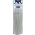 SM Black Buster Kashmir Willow Cricket Bat (Standard Size Short Handle)