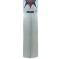 SM Collide Kashmir Willow Cricket Bat Standard Size