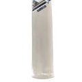 SM Blaster T20 Kashmir Willow Cricket Bat (Standard Size Short Handle)