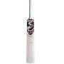 SG YBJ 19 (Yashasvi Jaiswal Bat) English Willow Cricket Bat (Standard Size Short Handle)