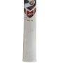 SG YBJ 19 (Yashasvi Jaiswal Bat) English Willow Cricket Bat (Standard Size Short Handle)