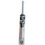SG HP 33 Hardik Pandya English Willow Cricket Bat with Sensor