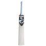 SG HP 33 Hardik Pandya English Willow Cricket Bat with Sensor