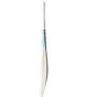 DSC Condor Glider English Willow Cricket Bat