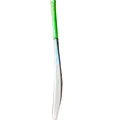 DSC Split 400 English Willow Cricket Bat (Standard Size Short Handle)
