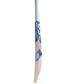 DSC BLU 300 English Willow Cricket Bat