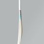 DSC Condor Surge English Willow Cricket Bat