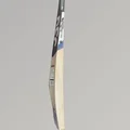 DSC Blak 350 English Willow Cricket Bat