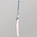 DSC BLAK 300 English Willow Cricket Bat