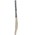 DSC Black 450 English Willow Cricket Bat (Standard Size Short Handle)