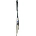 DSC Blak 400 English Willow Cricket Bat