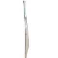 DSC Krunch 5.0 English Willow Cricket Bat