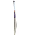 DSC Krunch 9.0 English Willow Cricket Bat