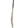 DSC Xlite 4.0 English Willow Cricket Bat
