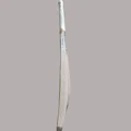 DSC Krunch 1.0 English Willow Cricket Bat