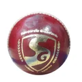 SG Club Red Cricket Ball 12 Ball set
