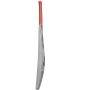 BAS Vampire MSD Retro Vintage Player Edition English Willow Cricket Bat Size SH