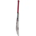 SS Sir Recahrds English Willow Cricket Bat Standard Size