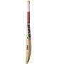 Bas Vampire Bow 20 20 English Willow Cricket Bat Standard Size