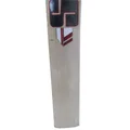 SS Super Select English Willow Cricket Bat (Standard Size Short Handle)