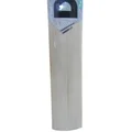 DSC Condor Flite English Willow Cricket Bat
