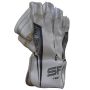 SF Test Cricket Wicket Keeping Gloves