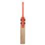 Gray Nicolls Cobra GN4.5 English Willow Cricket Bat Size SH