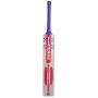 Gray Nicolls Megapower GN7 English Willow Cricket Bat
