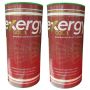Exergy Exergy Gold Badminton Shuttlecocks Set of 2 (6 Pieces in 2 Box)
