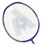 Ashaway Viper XT 500 Badminton Racket