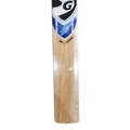 SG HP SPARK Kashmir Willow Cricket Bat