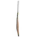 SG Phoenix Xtreme Kashmir Willow Cricket Bat (Standard Size Short Handle)