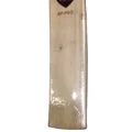 SG RP Pro Kashmir Willow Cricket Bat (Standard Size Short Handle)