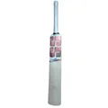 SS Master Kashmir Willow Cricket Bat (Standard Size Short Handle)