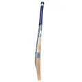 DSC BLU 99 Kashmir Willow Cricket Bat (Standard Size Short Handle) 