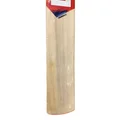 DSC Krunch 55 Kashmir Willow Cricket Bat (Standard Size Short Handle)