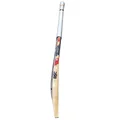 DSC Krunch 88 Kashmir Willow Cricket Bat