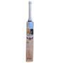 SS TON Players 3000 English Willow Cricket Bat
