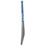 SG HP Plus Kashmir Willow Cricket Bat (Standard Size Short Handle)