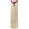 DSC Krunch 99 Kashmir Willow Cricket Bat (Standard Size Short Handle)