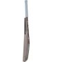 SF Joe Burns Player Edition English Willow Cricket Bat