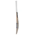 New Balance DC 600i English Willow Cricket Bat (Standard Size Short Handle)